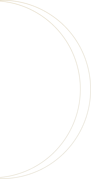 circle icon