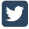 Social Icon